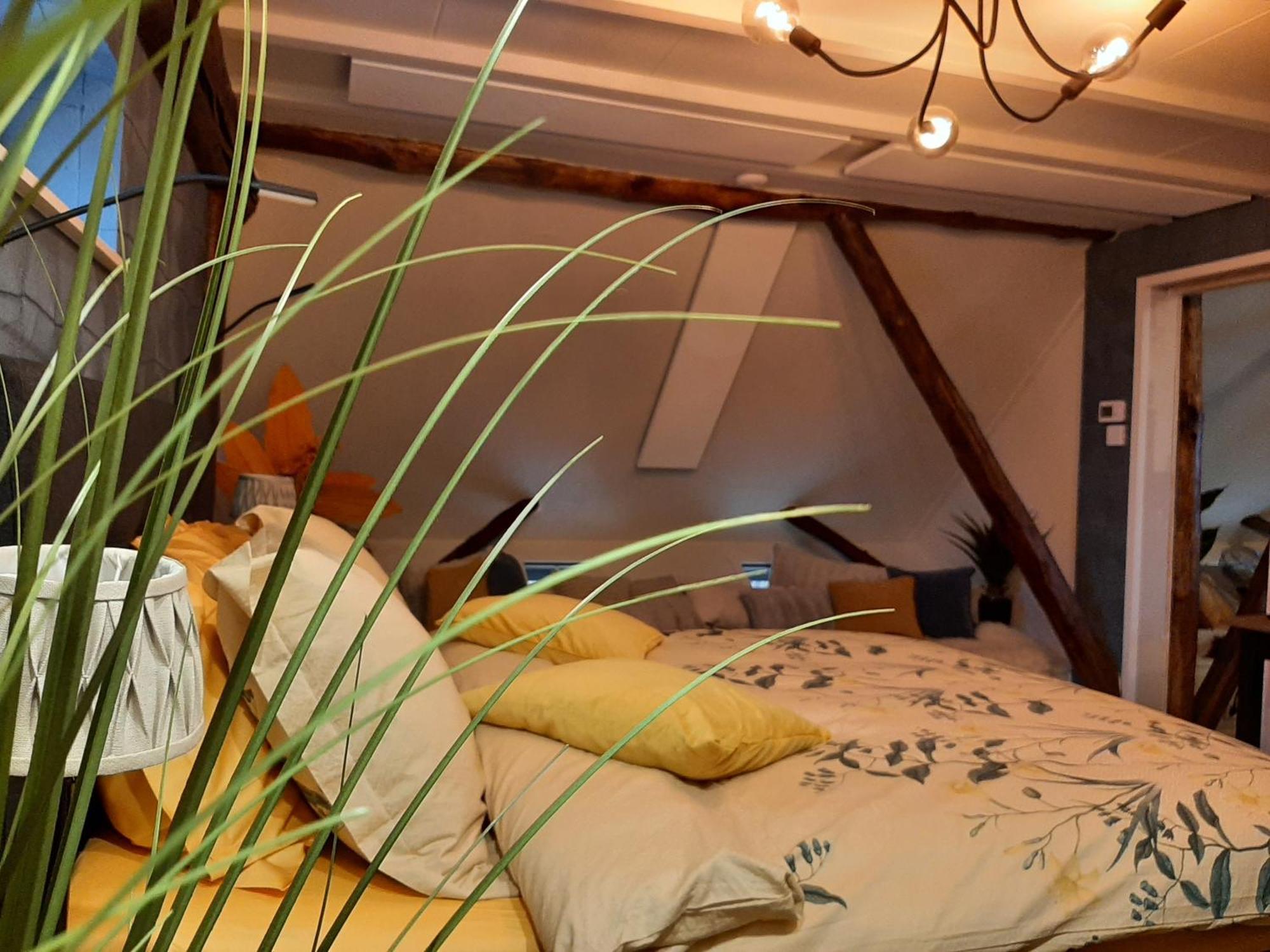 Loft De Hooizolder Met Sauna Bij Te Boeken Gees 外观 照片